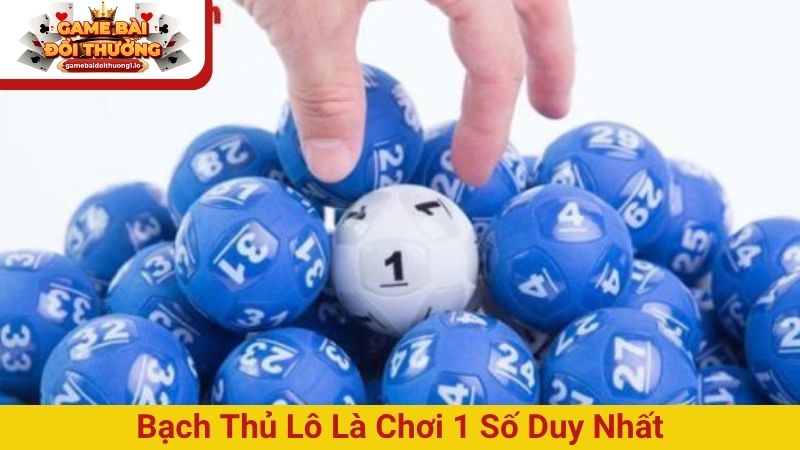 Bạch thủ lô là chơi 1 số duy nhất