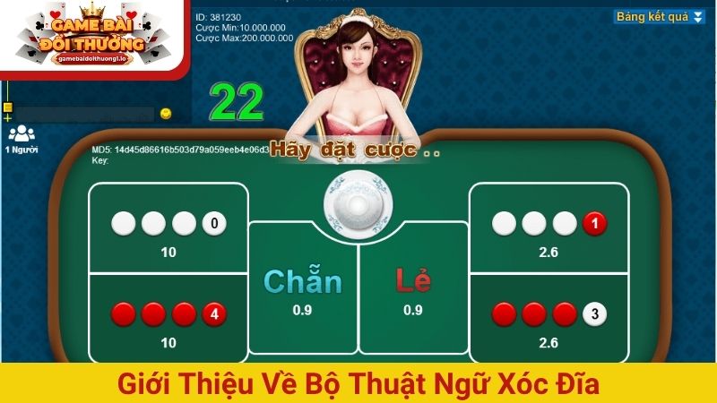 Giới thiệu về bộ thuật ngữ Xóc Đĩa chuyên nghiệp